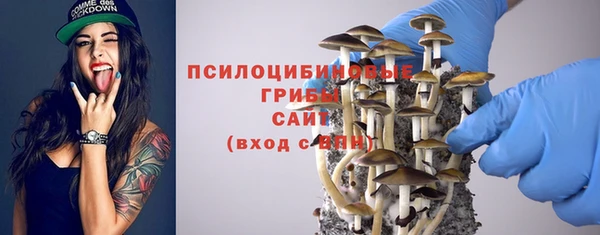 соль ск Кукмор
