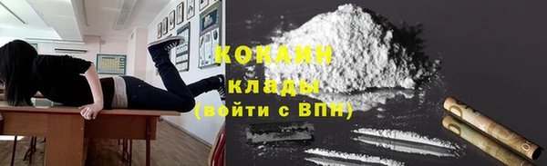 соль ск Кукмор