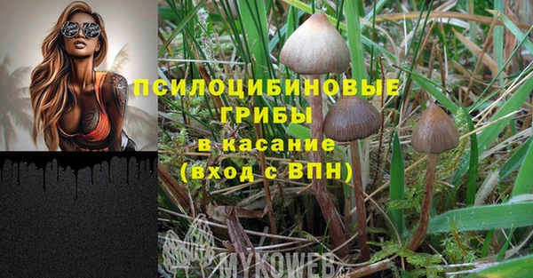 MDMA Premium VHQ Кулебаки