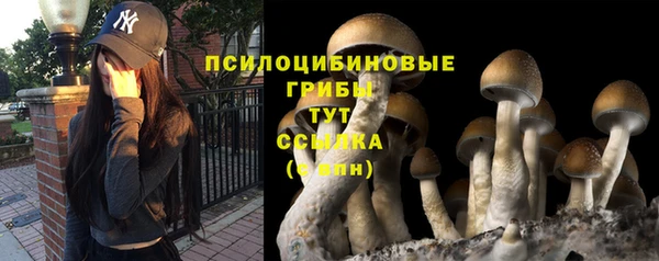 альфа пвп Чита