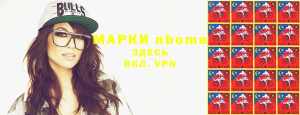 соль ск Кукмор